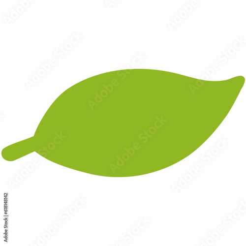 green leaf isolated on white