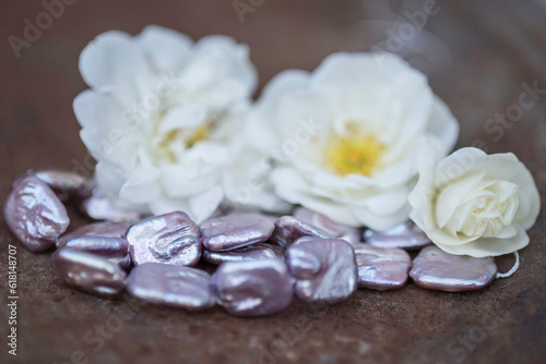 Natural freshwater pearls of various shapes and colors are photographed on a metall 