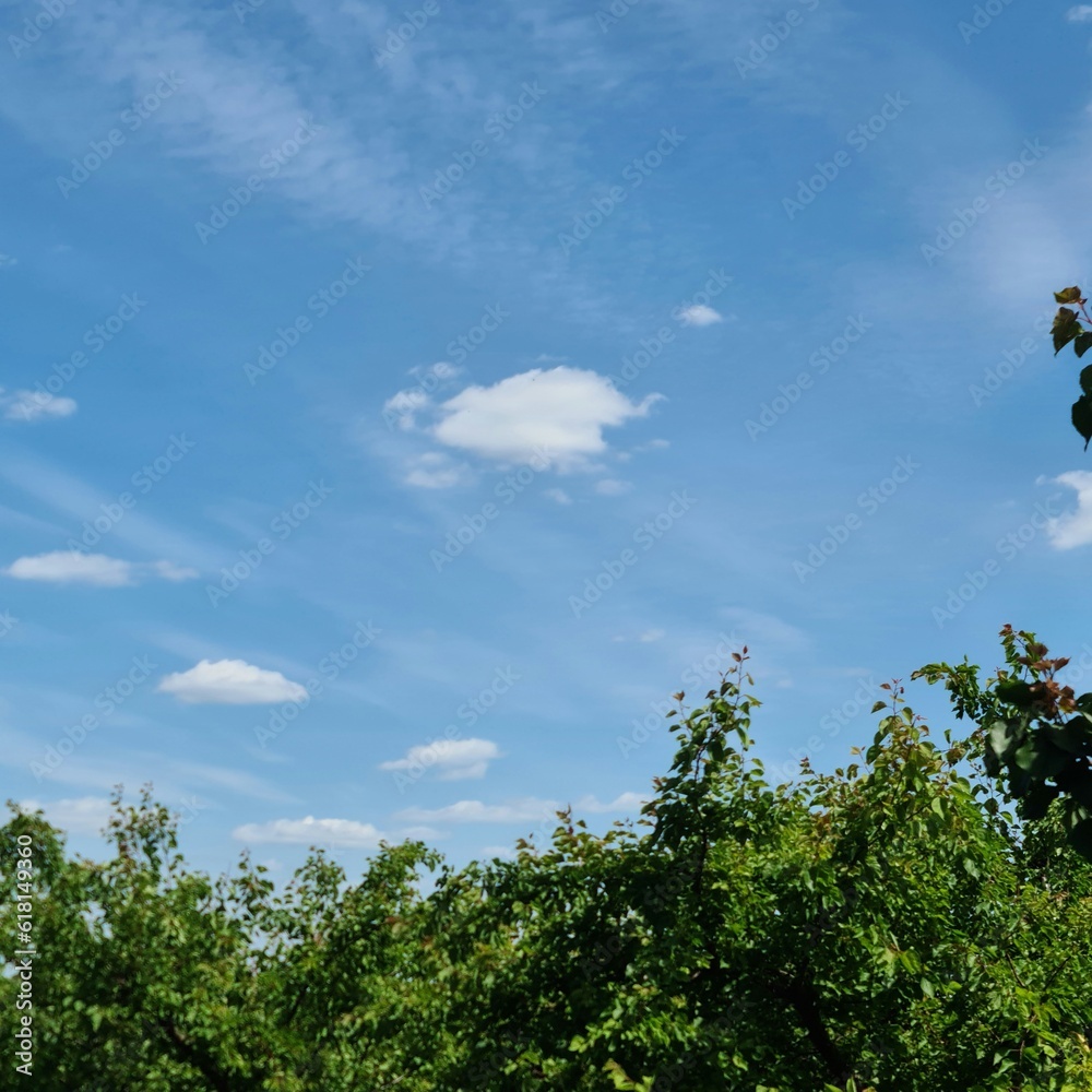 A blue sky with clouds A blue sky with clouds