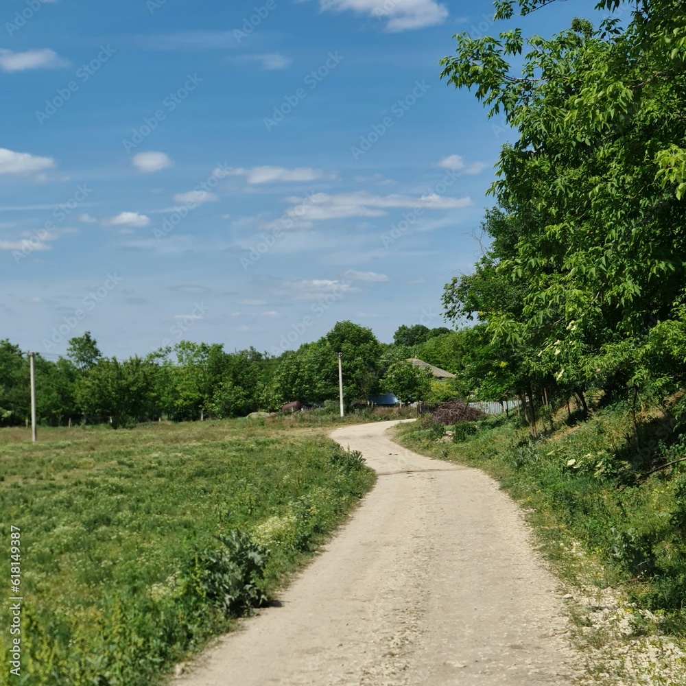 A dirt road with trees on either side of it A dirt road with trees on either side of it