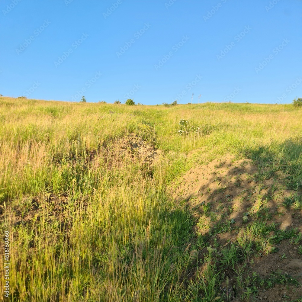 A grassy field with a blue sky