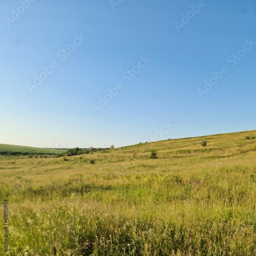 A grassy field with blue sky