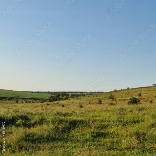 A grassy field with a blue sky