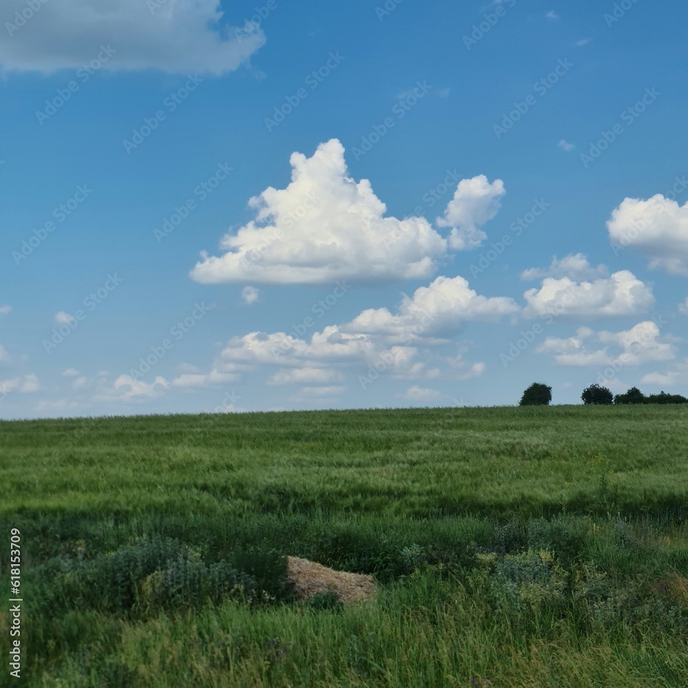 A grassy field with a cloudy sky A grassy field with a cloudy sky