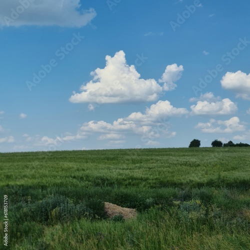A grassy field with a cloudy sky