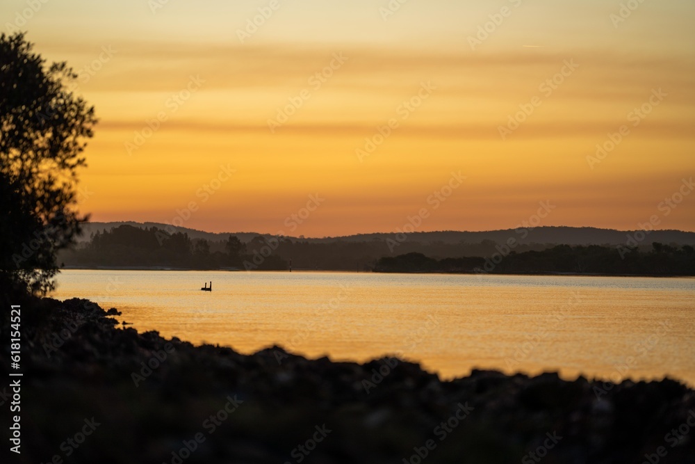 beautiful landscape of swans on a lake at sunset at dusk in australia beautiful landscape of swans on a lake at sunset at dusk in australia