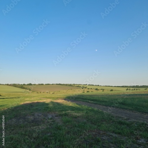 A field with grass and blue sky