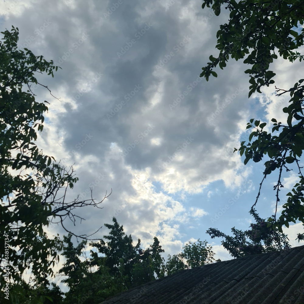 Fototapeta premium Clouds in the sky