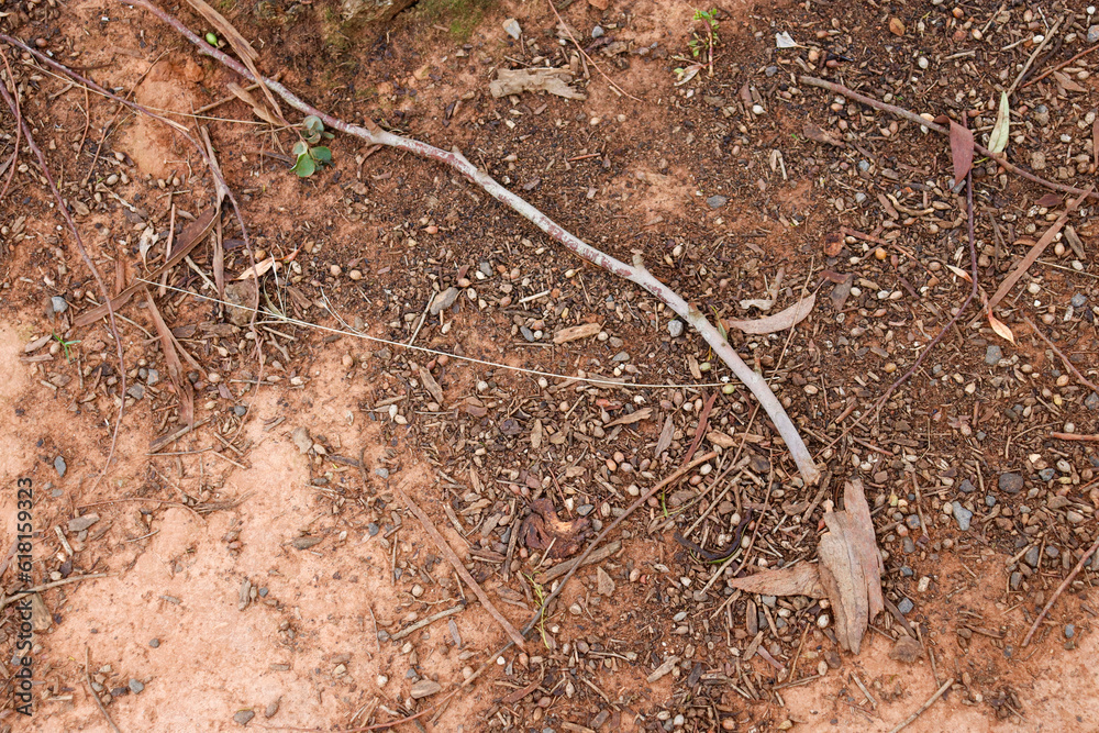full frame of arid red australian soil in bushland full frame of arid red australian soil in bushland