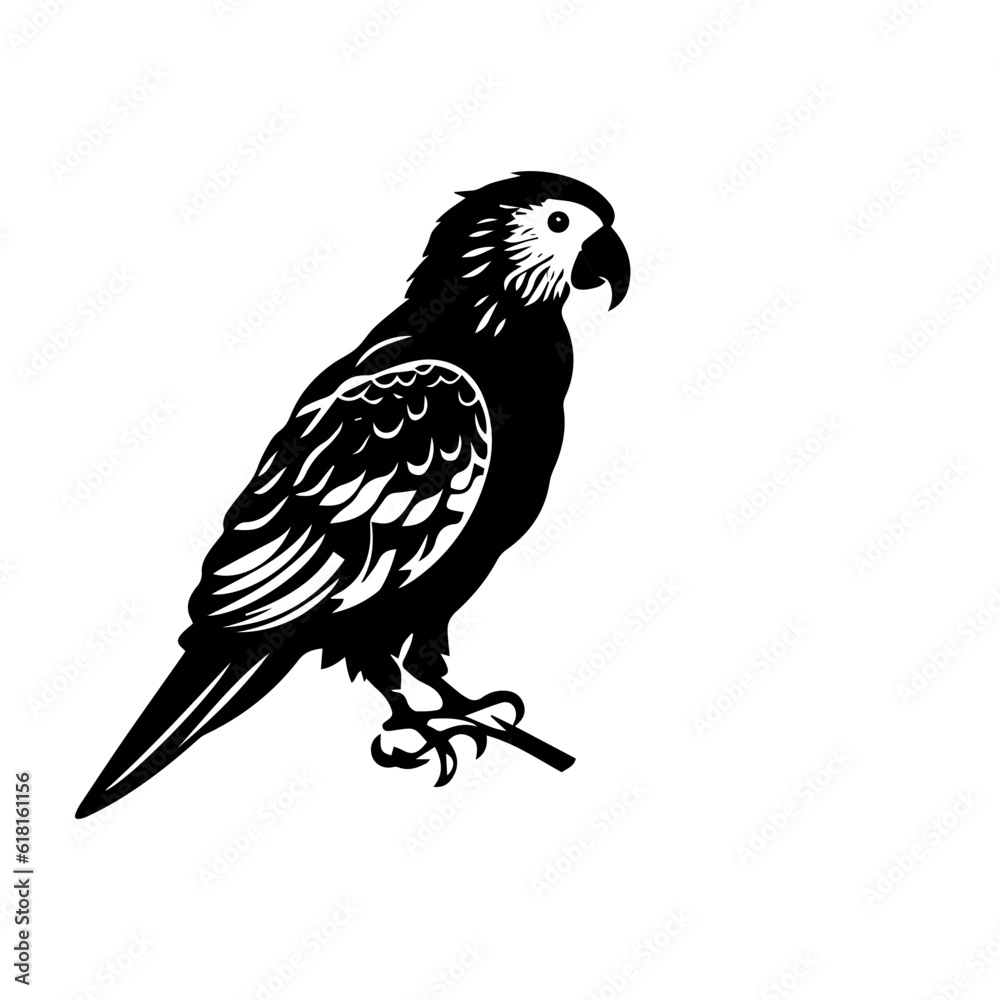 Fototapeta premium parrot silhouette illustration