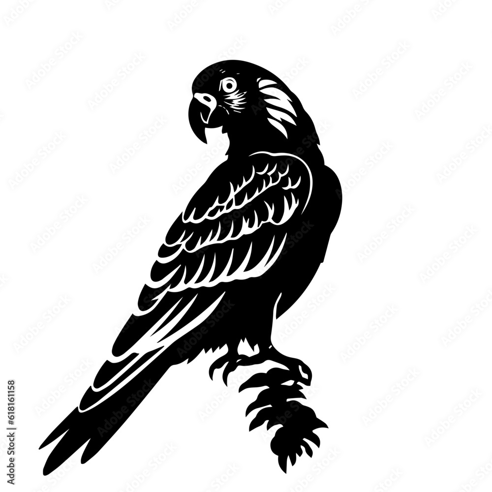 parrot silhouette illustration parrot silhouette illustration