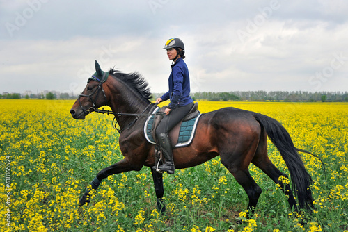 Purebred horse with rider on a rapeseed field outdoors in rural scene © Mykola