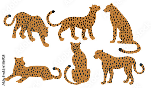 set of hand drawn leopards. Vector hand-drawn design on the white background.