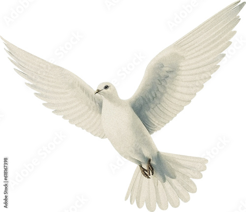 Dove isolated on transparent background, old-style illustration with grain