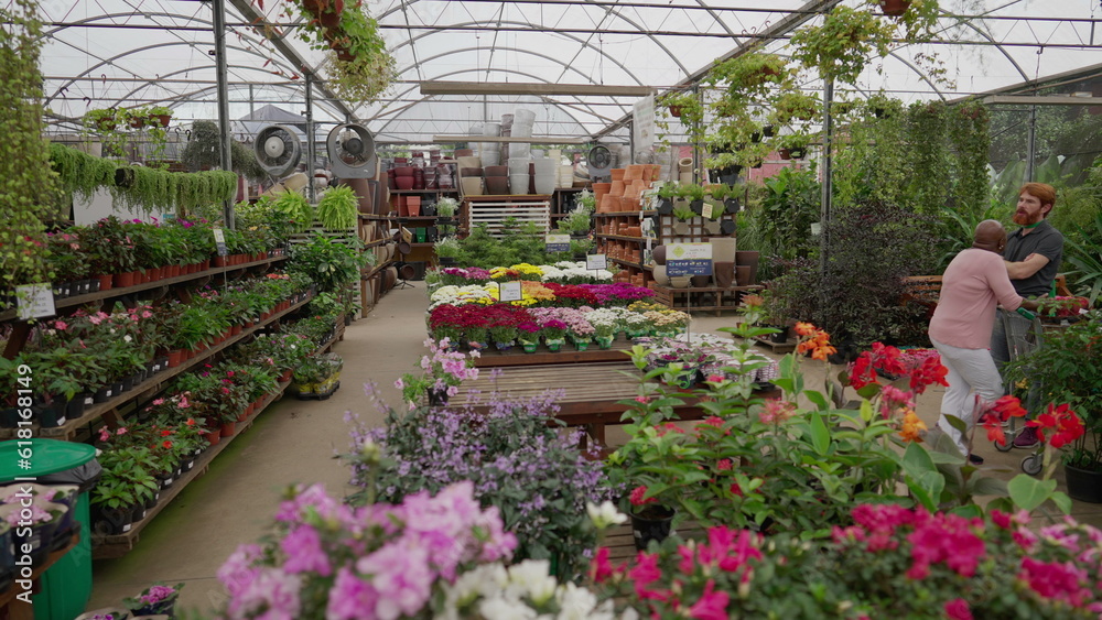 Vibrant and Colorful Local Flower Shop, Interior View of Horticulture and Gardening Retail Store