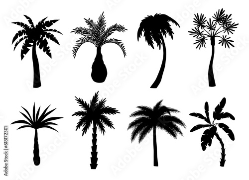 Different palm trees black silhouettes. Beach exotic plants  summer tropical flora  miami and hawaii southern trees  vector illustration