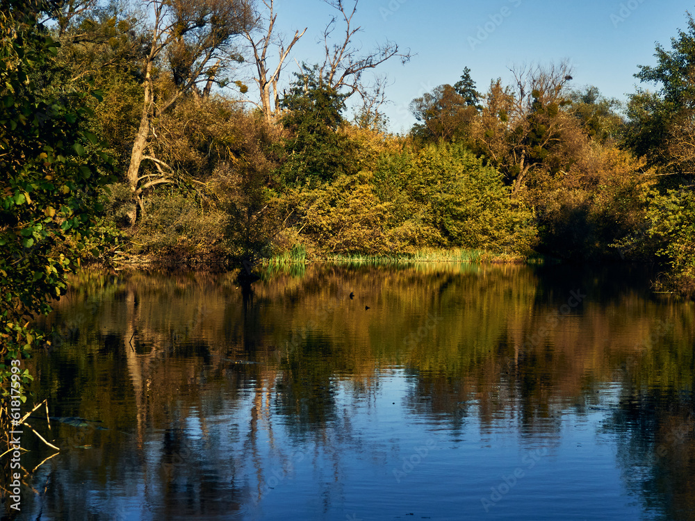 A small forest river, the banks are overgrown with grass and trees, autumn has dressed the trees in yellow clothes, a clear sky, a beautiful autumn landscape A small forest river, the banks are overgrown with grass and trees, autumn has dressed the trees in yellow clothes, a clear sky, a beautiful autumn landscape