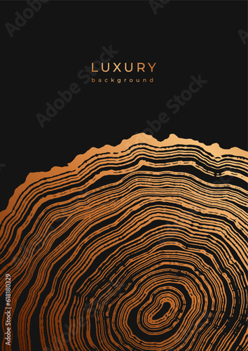 Luxury golden backgrounds with wood annual rings texture. Template with shiny tree ring pattern. Stamp of tree trunk in section. Wooden concentric circles. Black and bronze gold background. Copy space