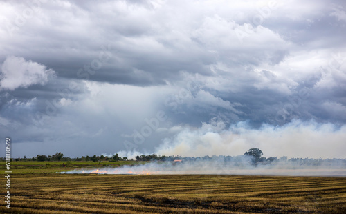 Views of dense smoke drifting from the burning of rice stubble in rice fields.