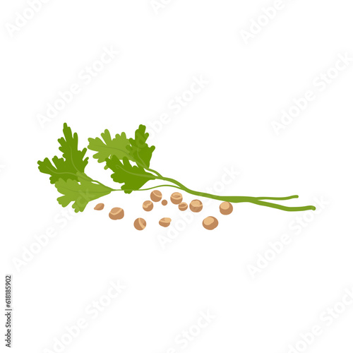 Aromatherapy herbs for essential oils collection