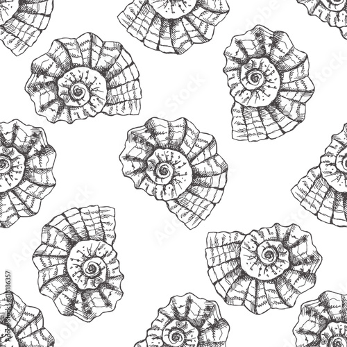 Hand drawn  prehistoric ammonite, seashell seamless pattern. Sketch style vector illustration isolated on white background..
