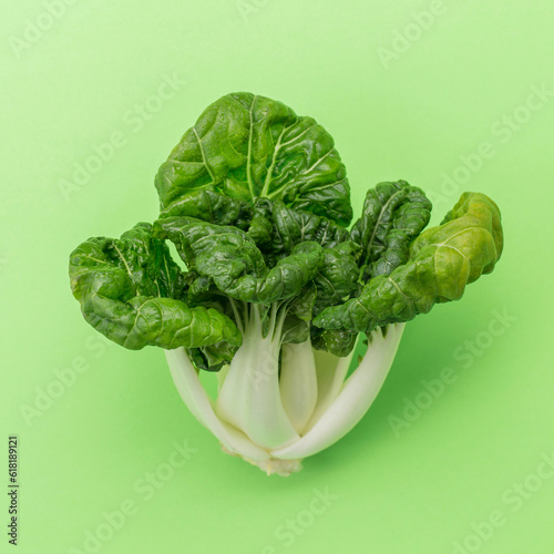 Pak choi cabbage on green background