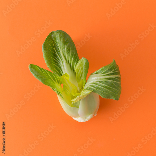 Pak choi cabbage on orange background