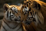 Celebrating Asian Wildlife A Mother Tiger and Her Cub
