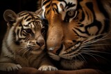 A Bond Beyond Words The Love of a Tiger Mother and Her Cub