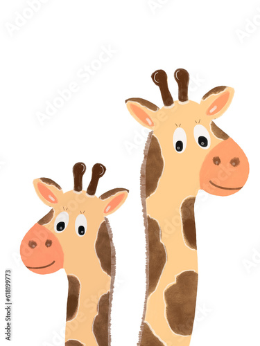 Canvas Print two giraffes on a white background