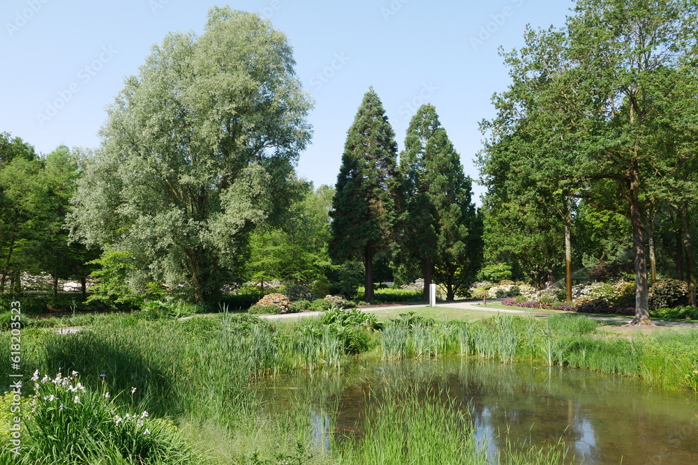 Teich im Botanischen Garten von Bremen