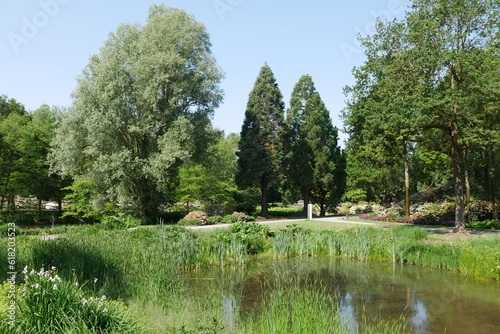 Obraz na płótnie Teich im Botanischen Garten von Bremen w salonie