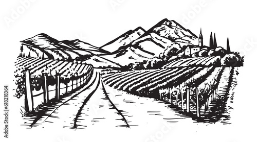 Wine plantations hand drawn, vector.	

