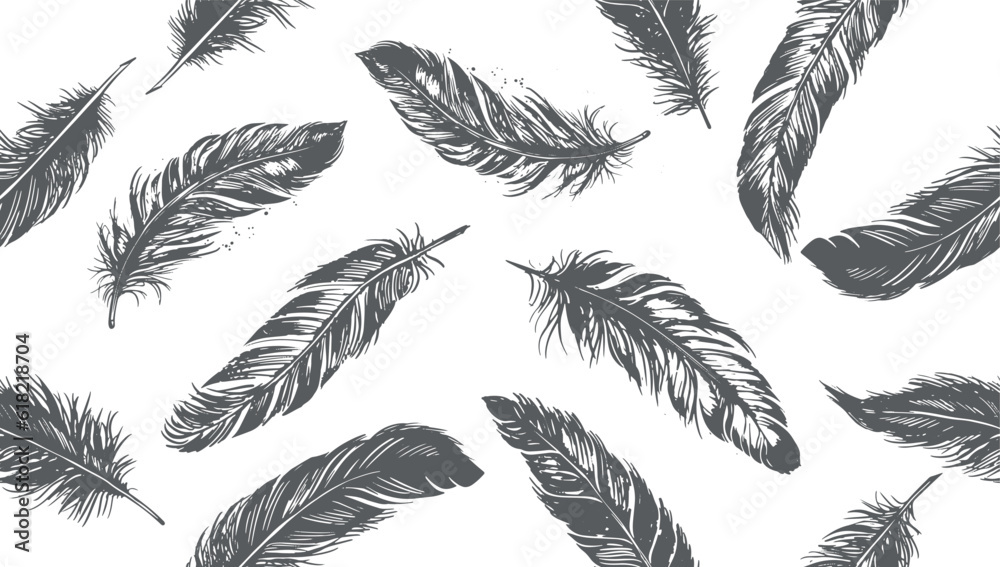 Hand drawn feather on white background
Hand drawn feather on white background