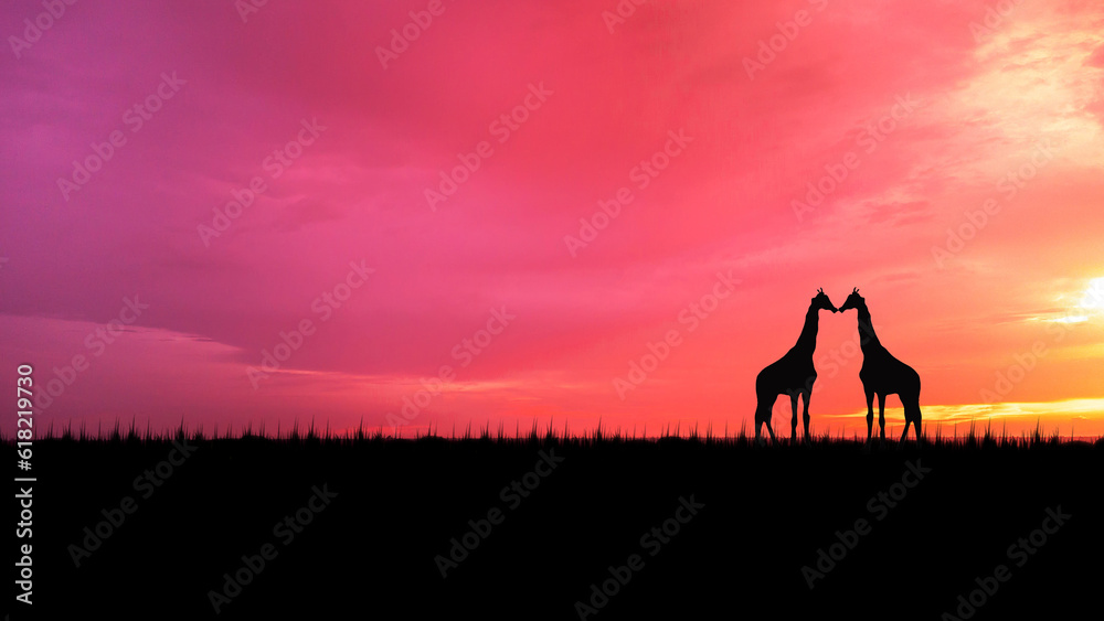 silhouette giraffe with dark trees at sunset on open field. amazing sunrise.  theme safari.