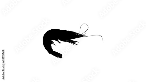 shrimp silhouette