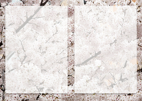 Edit Grid with translucent margins on top of images of cherry blossom landscapes.
This is an A3 size image suitable for use as a design editing background.