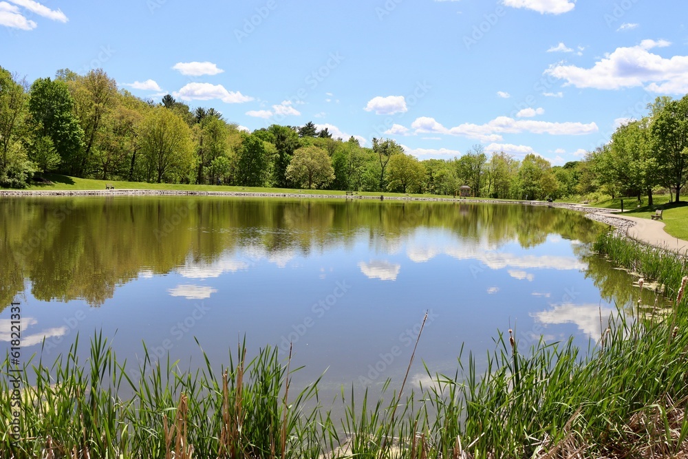 The lake in the countryside on a sunny day.