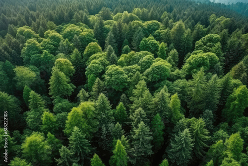 Dense Beautiful Green Forest, View From Above From The Drone, Very Highly. Generative AI