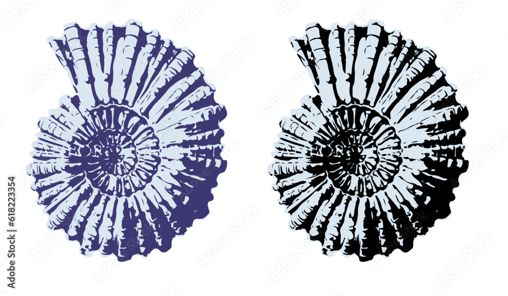 Set of silhouettes of sea cockleshells isolated on white background. Vector shells. Violet and black shells