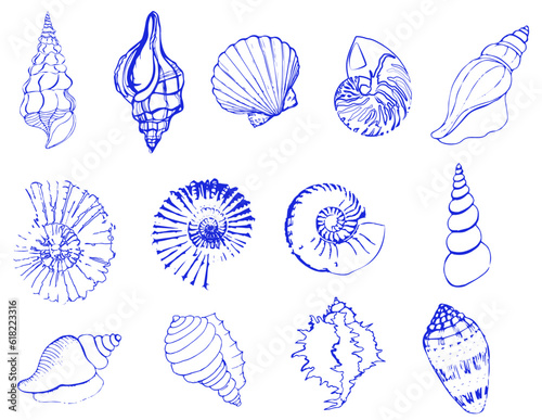Set of silhouettes of sea cockleshells isolated on white background. Vector shells. Blue shells
