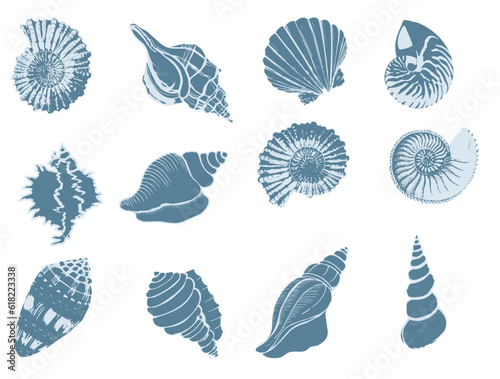 Set of silhouettes of sea cockleshells isolated on white background. Vector shells. Blue shells