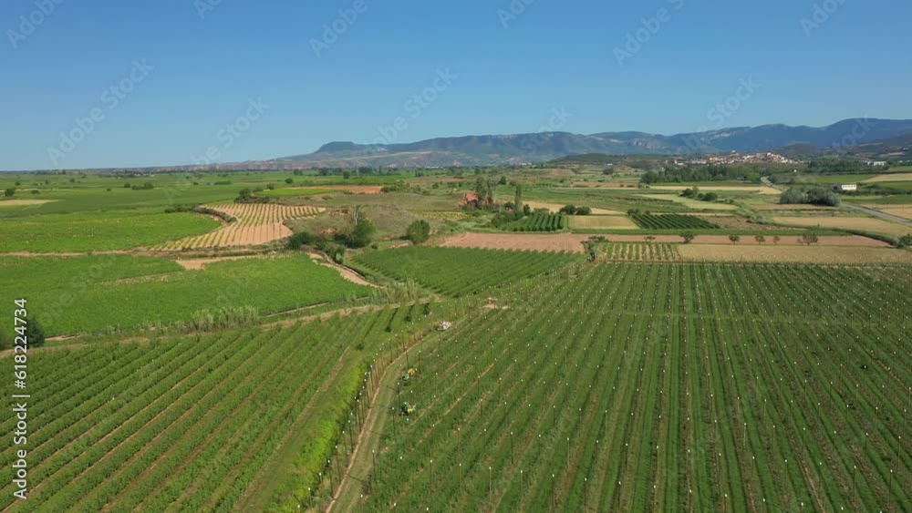 Flight Over Vineyards near Navarrete, Spain Flight Over Vineyards near Navarrete, Spain