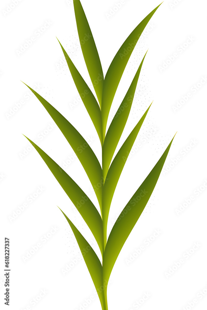 leaves isolated on white leaves isolated on white