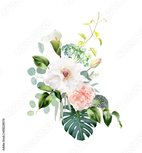 Pink garden rose, white peony flower, white calla, tulip, calathea, monstera, greenery vector design bouquet
