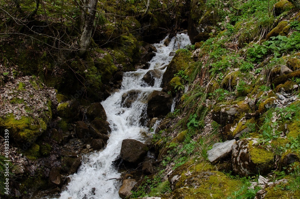 Beautiful view of mountain stream running near stones covered with moss outdoors Beautiful view of mountain stream running near stones covered with moss outdoors