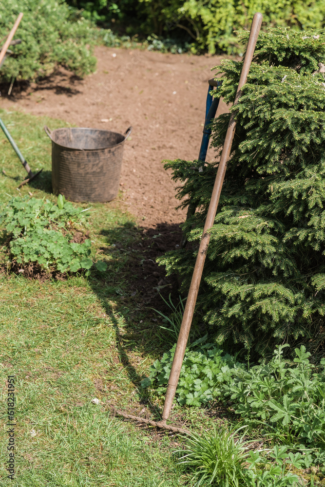 Rake in soil and plastic trug in formal garden, hobbies and landscaping concept illustration. Rake in soil and plastic trug in formal garden, hobbies and landscaping concept illustration.