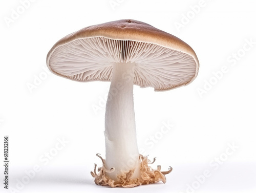 Mushroom isolated on white background .Generative Ai.
