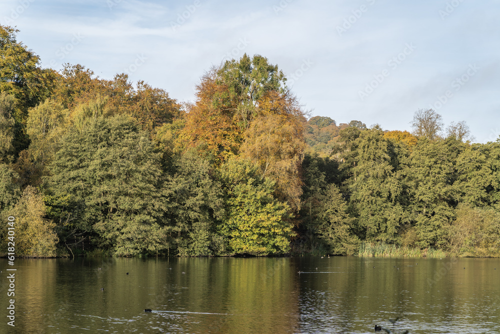 Fototapeta premium Staffordshire autumnal lakeside landscape sunny day with clouds, travel and nature concept illustration.
