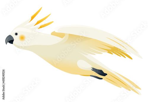 Parrot animation. Exotic adorable fauna character flight. White sulphur crested cockatoo. Animated tropical bird flying